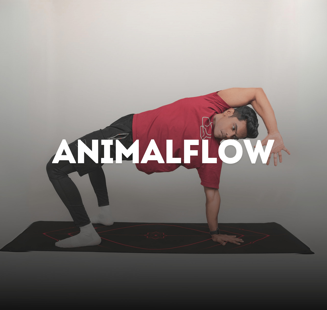 Animalflow