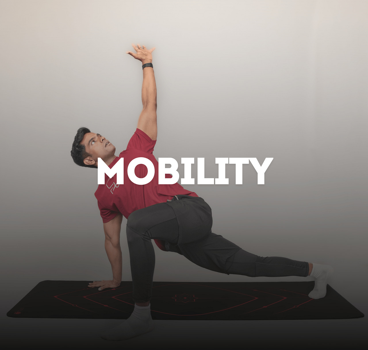 Mobility